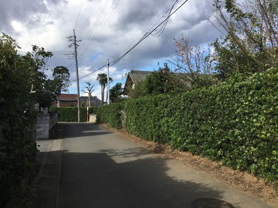 CE7D8C81-BAA6-4A03-9FAA-1F9AC8F9B0FC