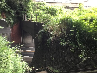 4C68CC8D-A8C6-4521-B3E0-705810BCA681