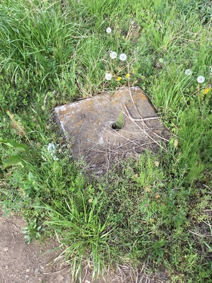 34FFAA52-CD1A-411A-A973-BF23A7D097F9