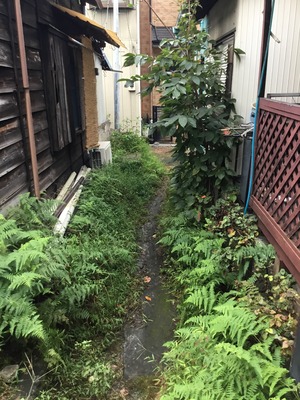 9A7537AD-6AE8-4C17-B29B-028BFCD07348