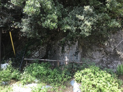 1CE54543-49EB-48A2-8002-19FC2B83F5E5