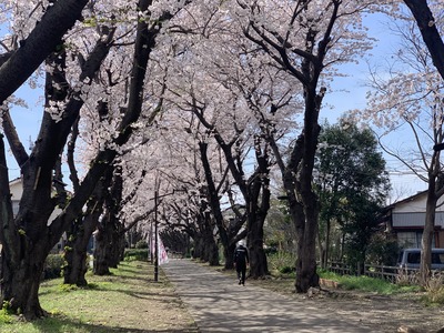IMG_1514_Original