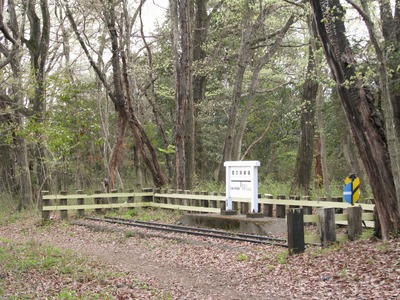 124BAD48-7A22-4626-9306-F16DB728E4EE