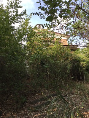 89274071-BA3F-40F7-AFA9-C5A424BA7D64