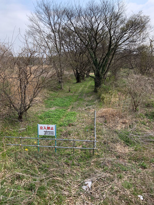 IMG_2024-04-08-124325