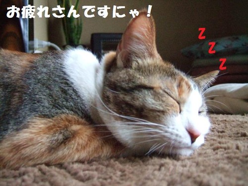 DSCF4177