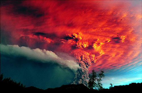 gal_puyehue_10