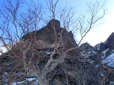 P3150993