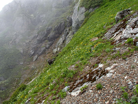 P7150453