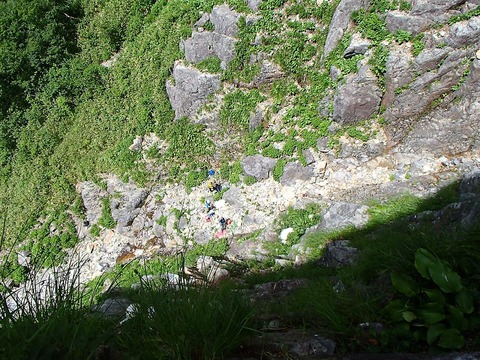 P7220474