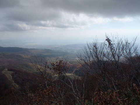 PA260310