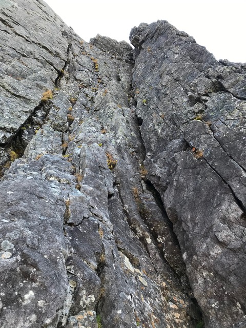 IMG-8207