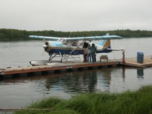 1e5db8a3.jpg