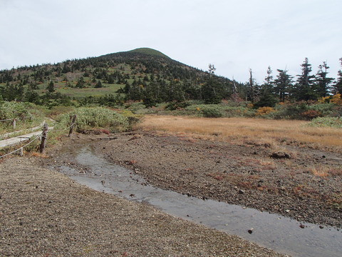 PA070246