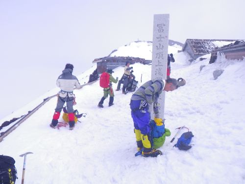 23943d13.jpg