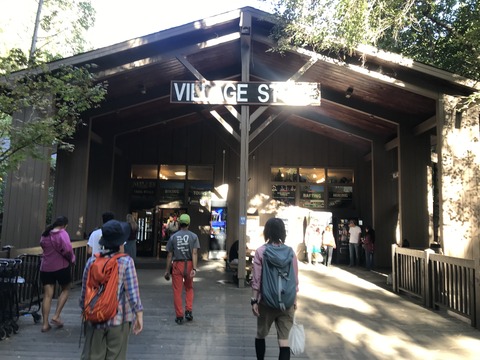 20190907_yosemite (22)
