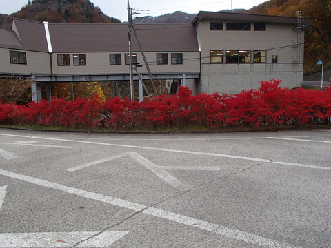 PB010045