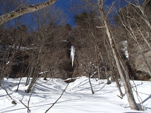 P2060079