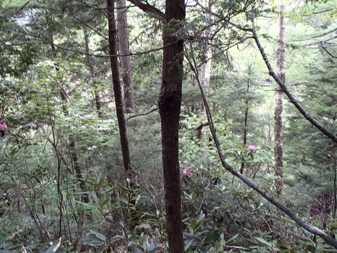 P6020927
