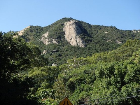001 shoudoshima ninnjuhou 1017 10ji