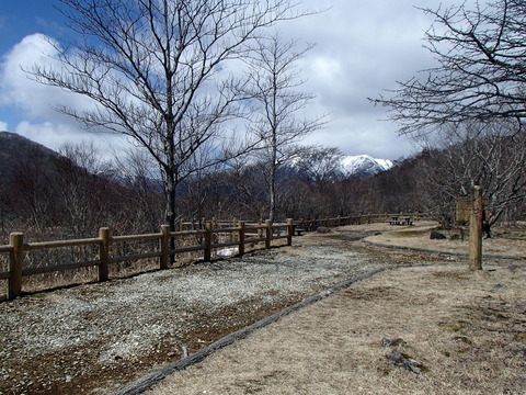 P4111491