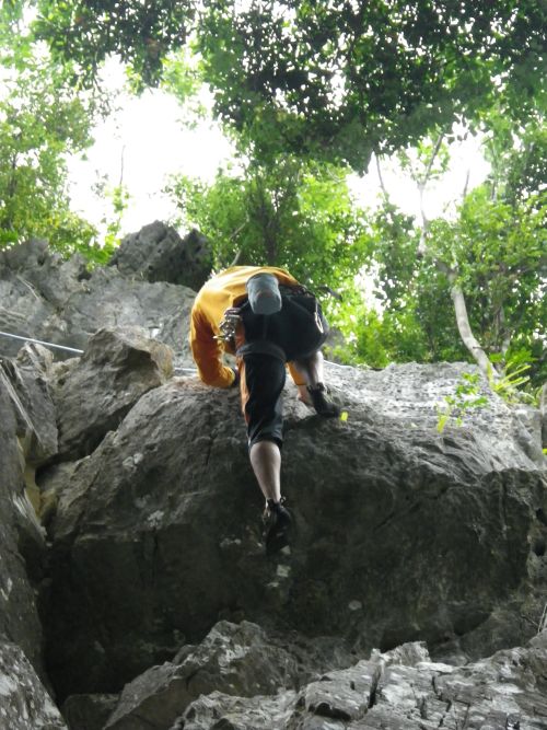 422c11d0.jpg