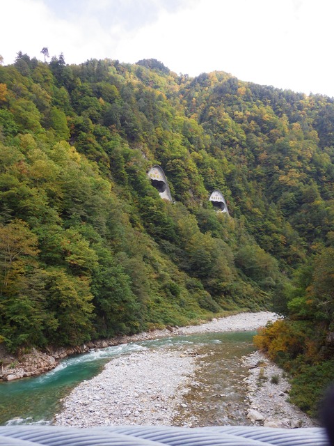 IMGP5463