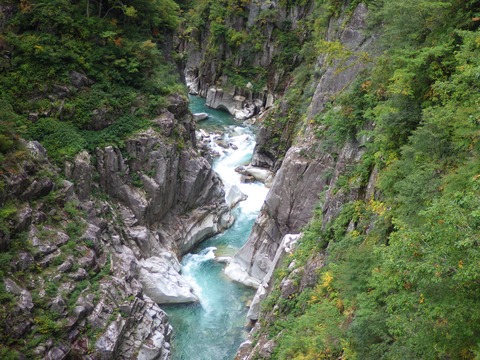 IMGP5455