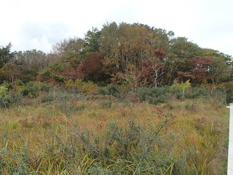 PA080264