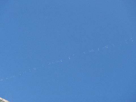 P9121126