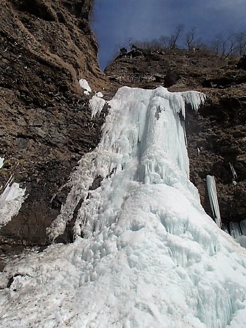 P2010099