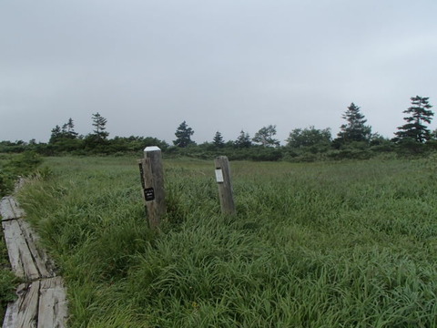 P8060202 (1)