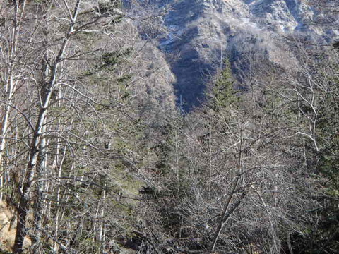PC080361