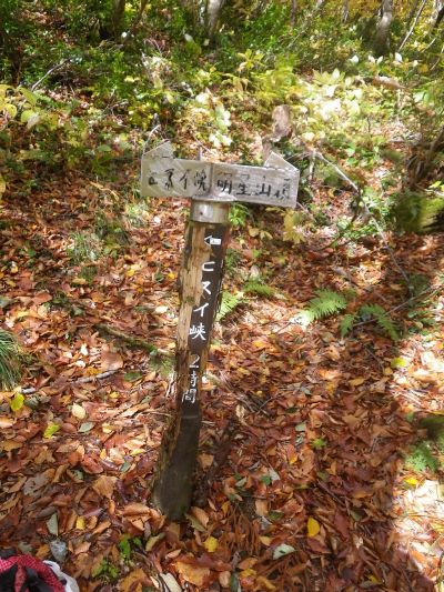 明星山 登山