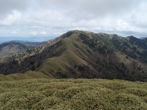 005turugisannchoujou503