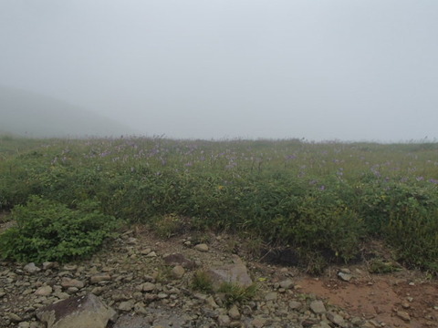 P8060196