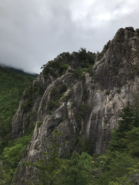(5)南陵レモン