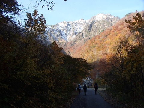 PB010035 (2)
