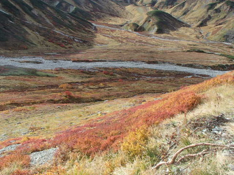 PA060271
