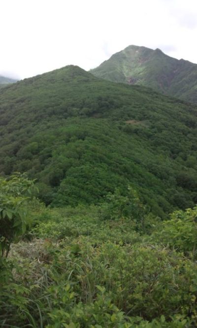 白水沢 左