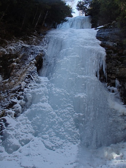 P2230169 (2)