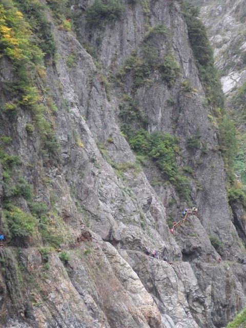 IMGP5383