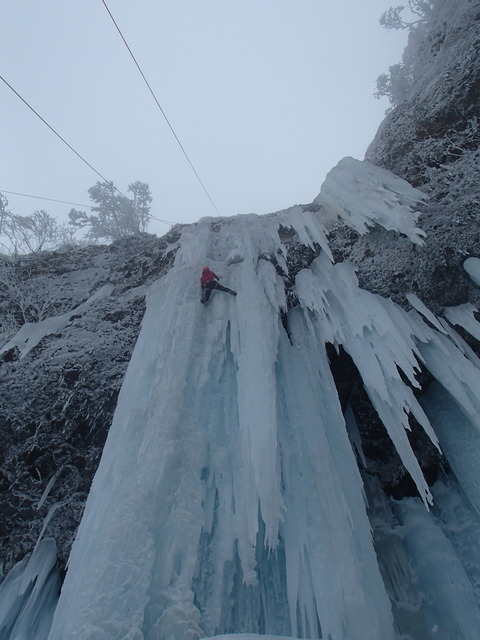 P2191334