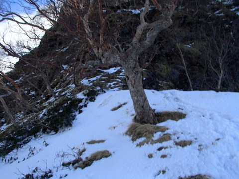 P3150992