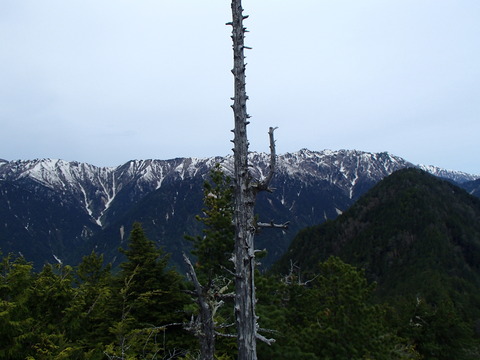 P6020932