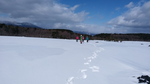 IMG_20200301_122101