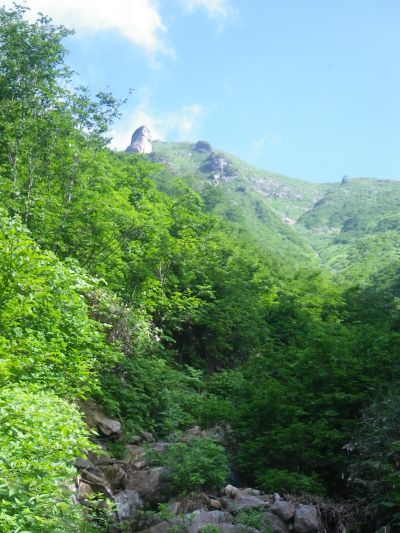 白毛門沢9
