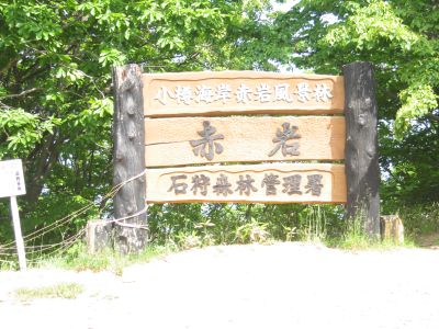 008otaru6 27