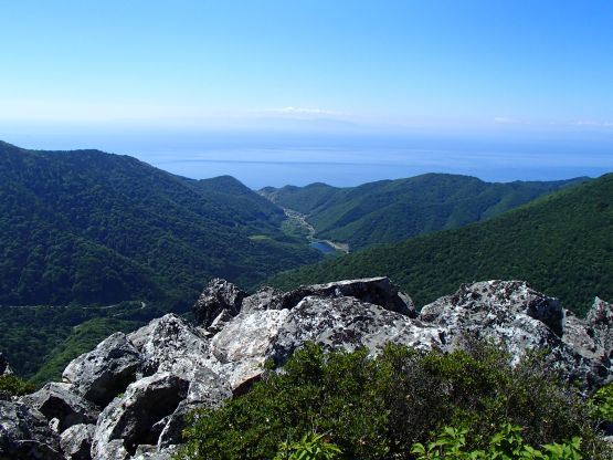 c00bd354.jpg