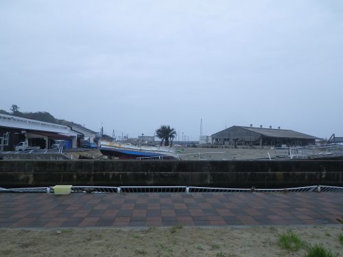 d8161e2d.jpg
